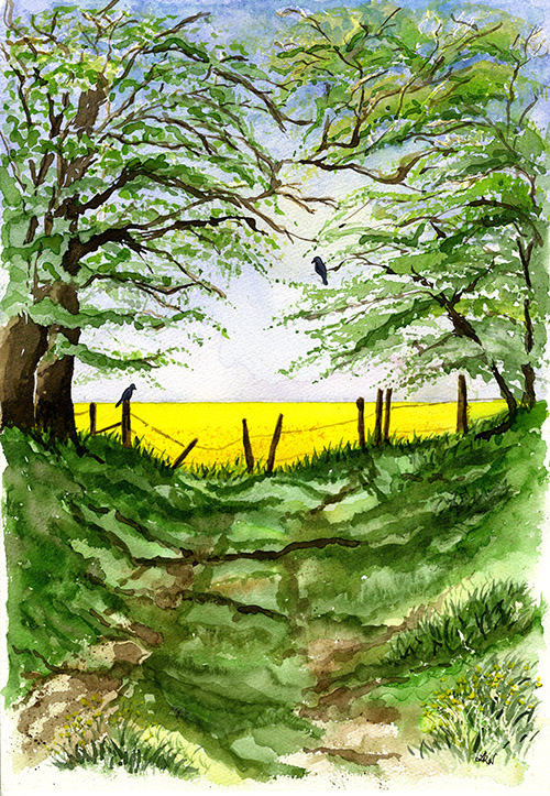 Roberts walk Britford Web