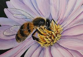 bee_on_pink_flower_Mel