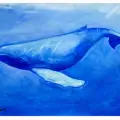 Alessia_Jones_-_Blue_Whale